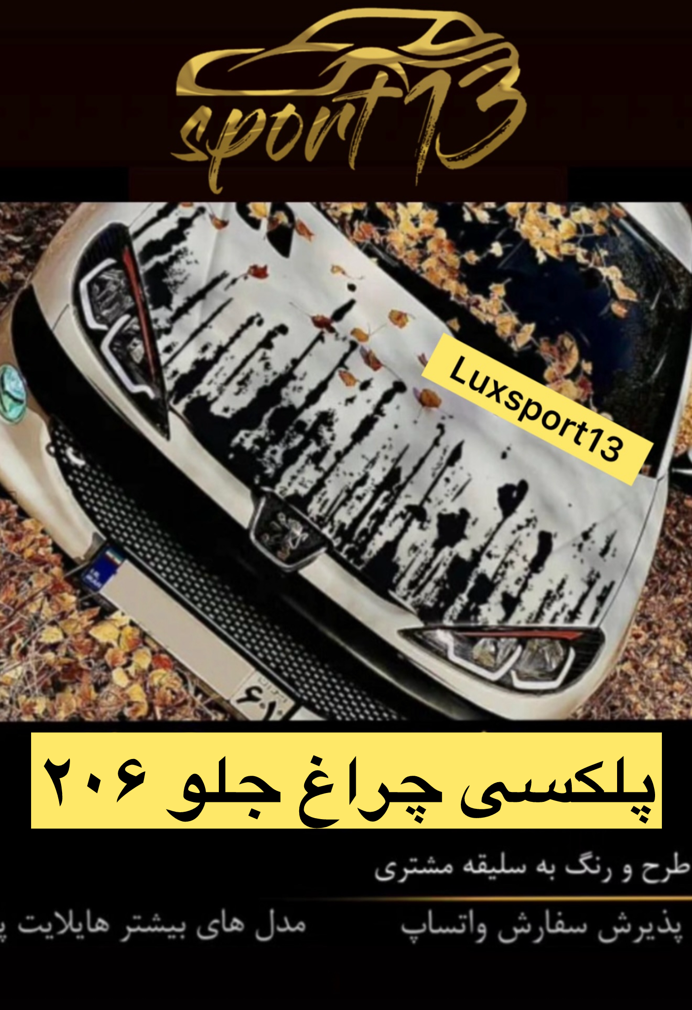 پلکسی چراغ جلو ۲۰۶